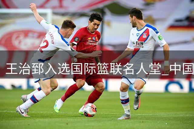 王治郅入选国际篮联名人堂 中国篮球传奇的三大人生启示