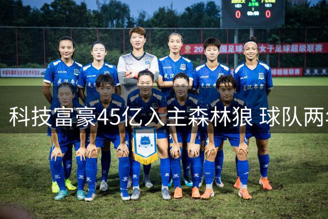 科技富豪45亿入主森林狼 球队两年内二度易手